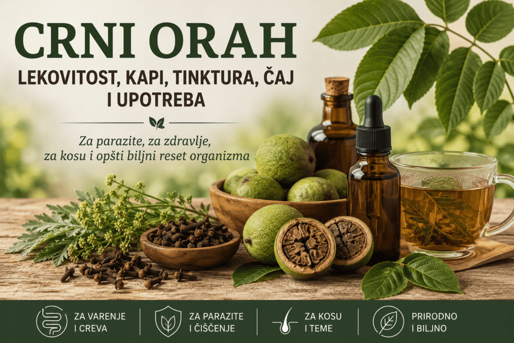 Crni orah naslovna slika