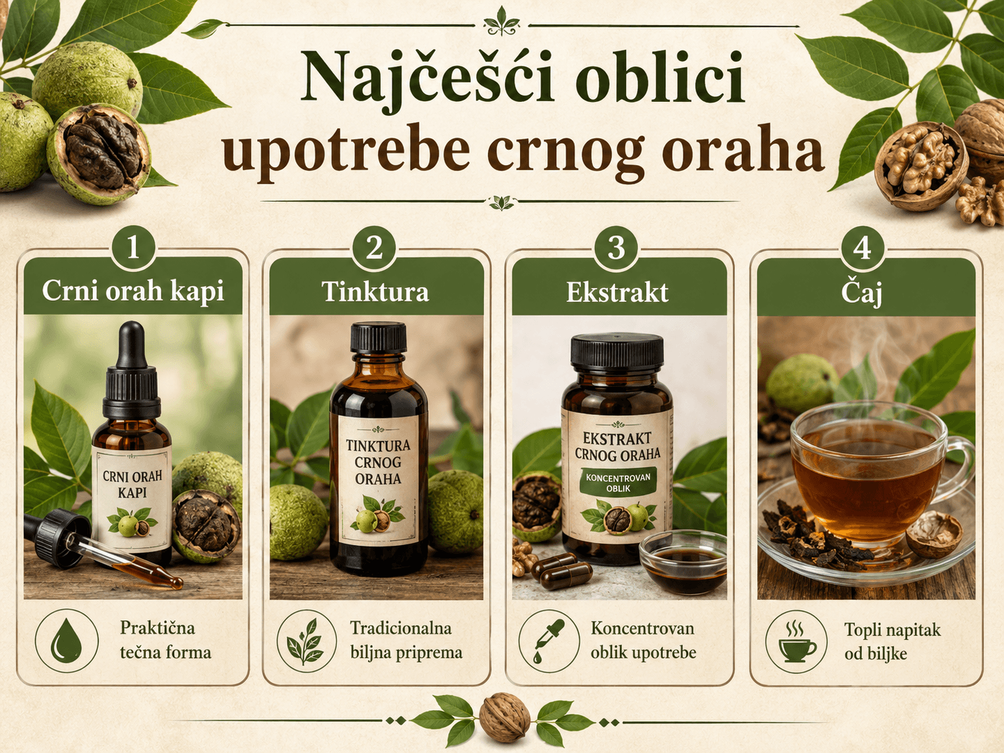 Crni orah kapi, tinktura i čaj u prirodnoj upotrebi
