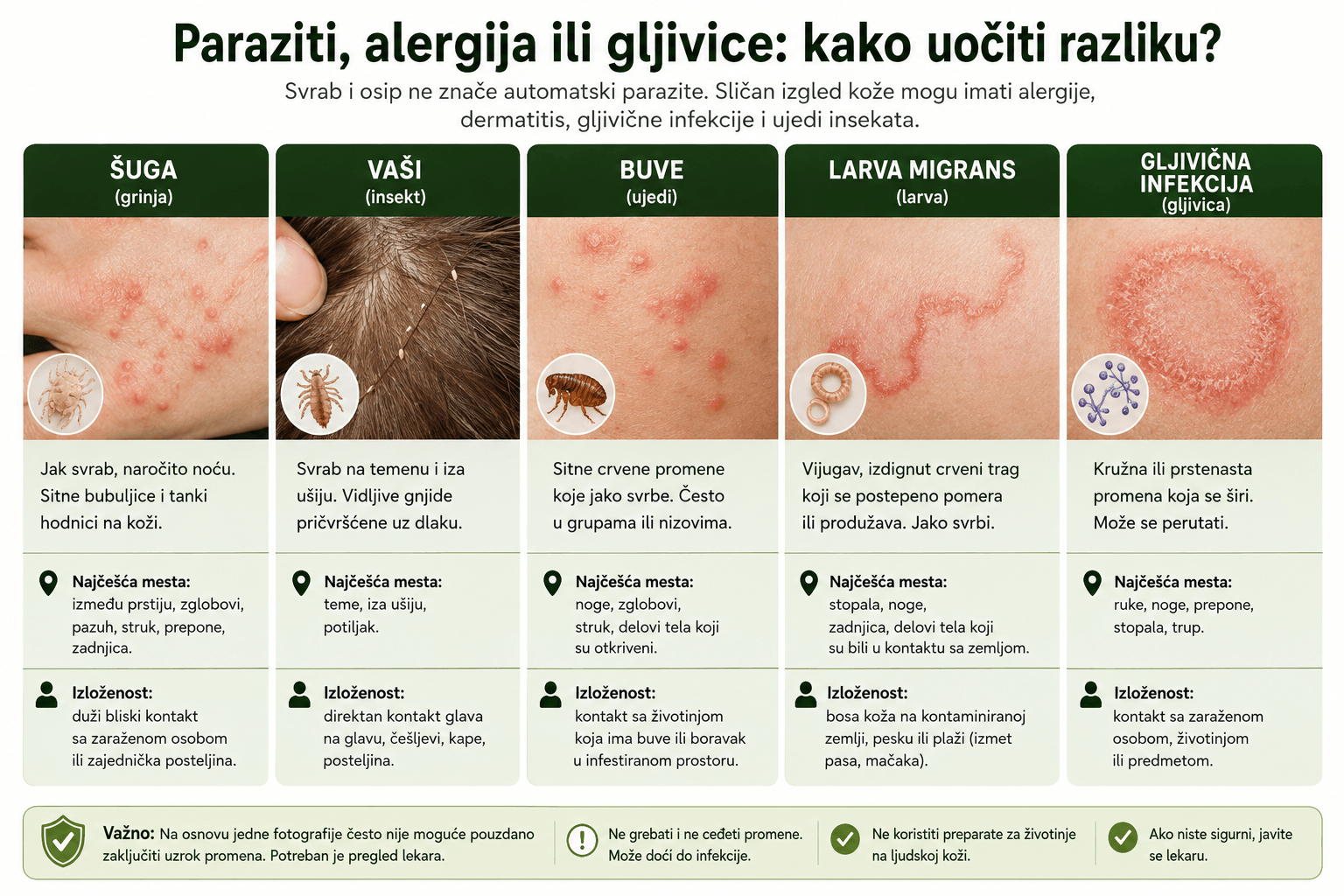 Svrab i osip paraziti alergija dermatitis gljivice poređenje simptoma