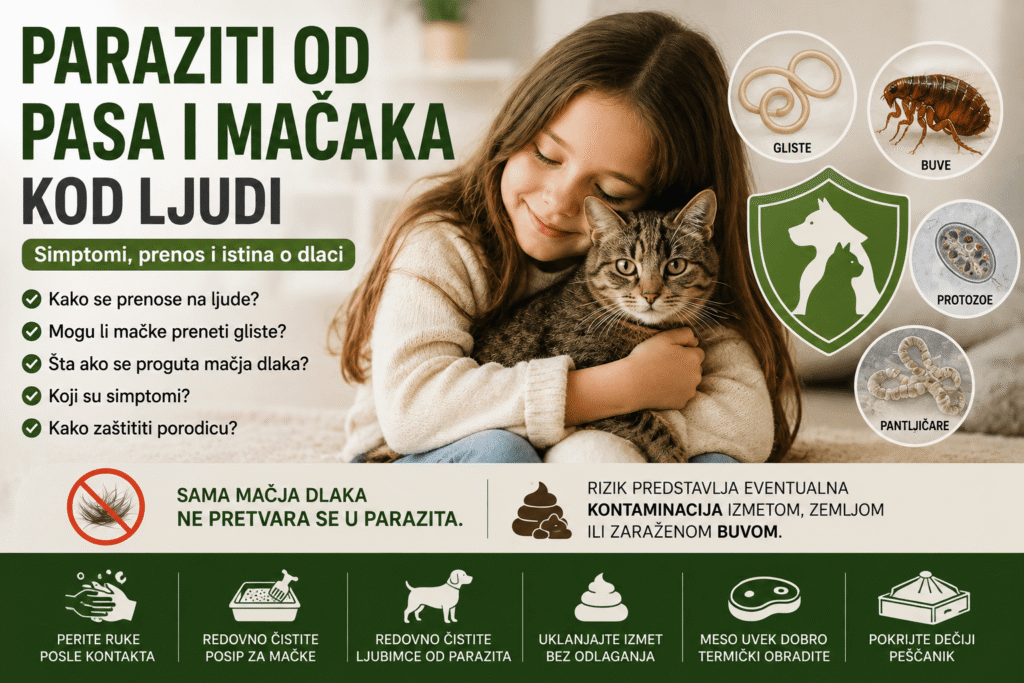 paraziti od pasa i mačaka kod ljudi